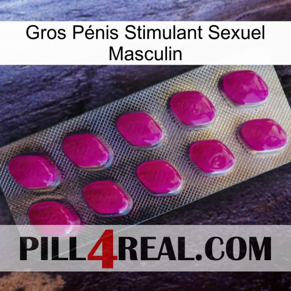 Gros Pénis Stimulant Sexuel Masculin 09